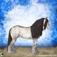 Horse Color:Classic Champagne Onyx Mushroom Sabino Brindle