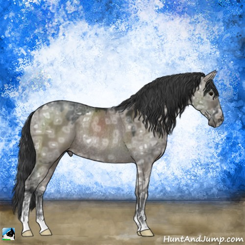 Horse Color:Grullo Ice Mushroom Sabino Rabicano 