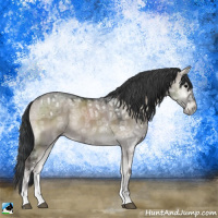 Horse Color:Grullo Ice Onyx Mushroom Sabino Rabicano