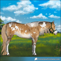 Horse Color:White Spotted Chocolate Palomino Dun Brindle 