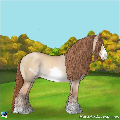 Horse Color:Gold Champagne Dun Frame Rabicano 