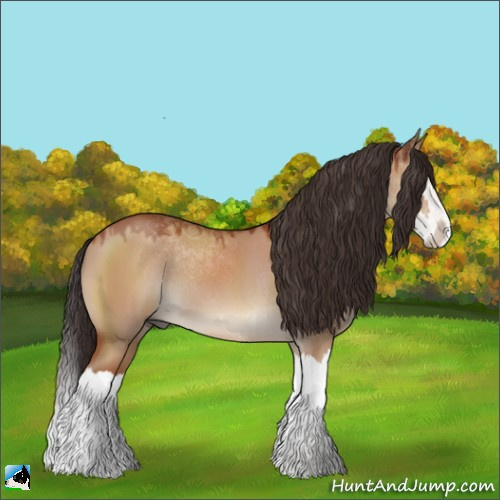 Horse Color:Brown Dun Sabino Splash 