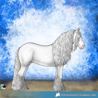Horse Color:Gold Champagne Dun Mushroom Sabino Splash Brindle
