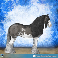 Horse Color:Grullo Mushroom Sabino Splash Brindle 