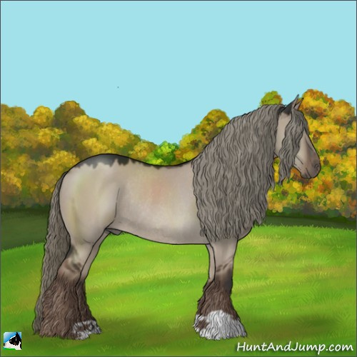 Horse Color:Liver Red Dun Mushroom Rabicano 