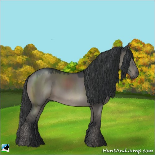 Horse Color:Grullo Sabino 