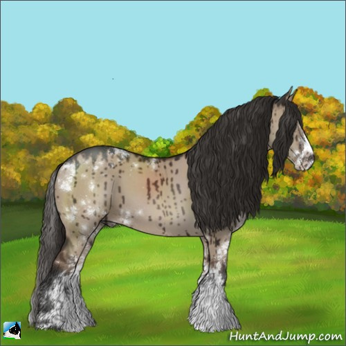 Horse Color:Liver Red Dun Sabino Brindle 
