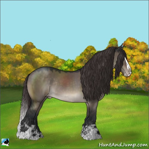 Horse Color:Brown Dun Mushroom Splash Appaloosa Rabicano 