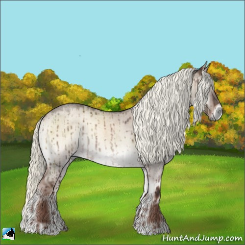 Horse Color:Liver Red Dun Roan Onyx Mushroom Rabicano Brindle 