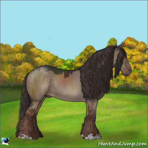 Horse Color:Liver Red Dun Rabicano 