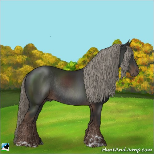 Horse Color:Liver Chestnut Mushroom Sabino Rabicano 