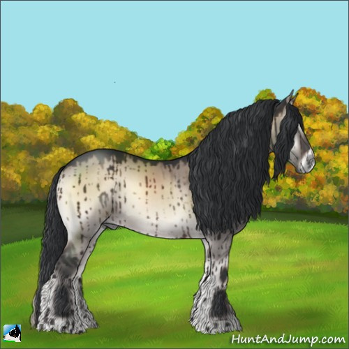 Horse Color:Brown Onyx Rabicano Brindle 