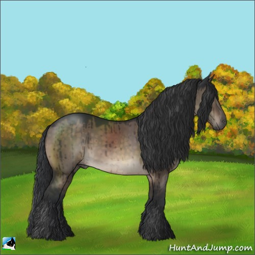 Horse Color:Brown Dun Sabino Rabicano Brindle 