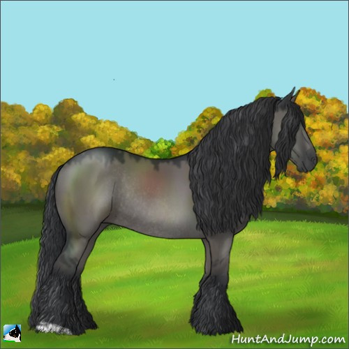 Horse Color:Grullo Rabicano 