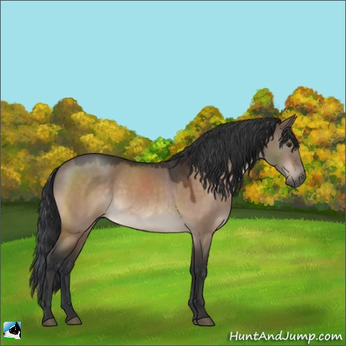 Horse Color:Brown Dun Mushroom Rabicano 