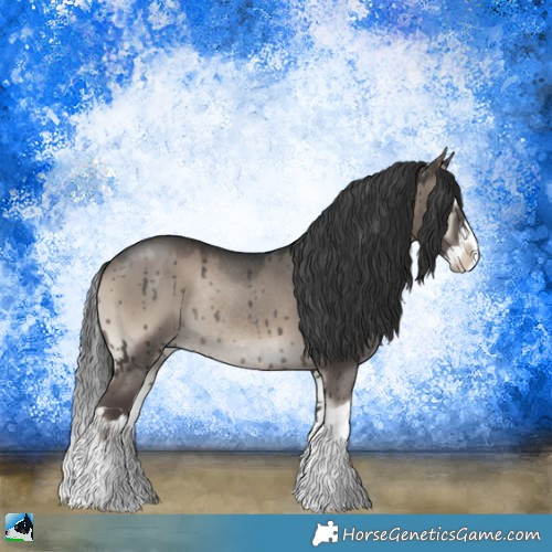 Horse Color:Grullo Onyx Splash Rabicano Brindle 