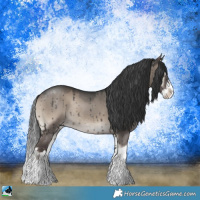 Horse Color:Grullo Onyx Splash Rabicano Brindle 