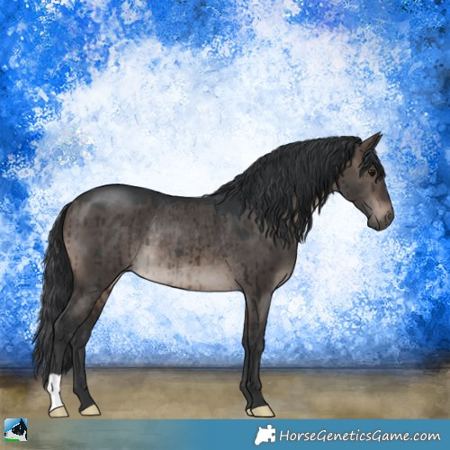 Horse Color:Brown Dun Mushroom Rabicano Brindle 