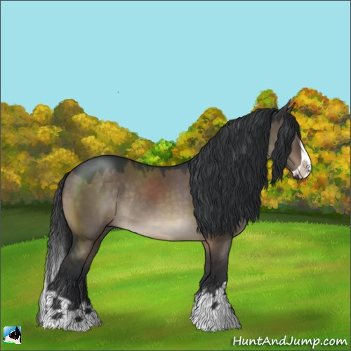 Horse Color:Brown Dun Splash Rabicano 