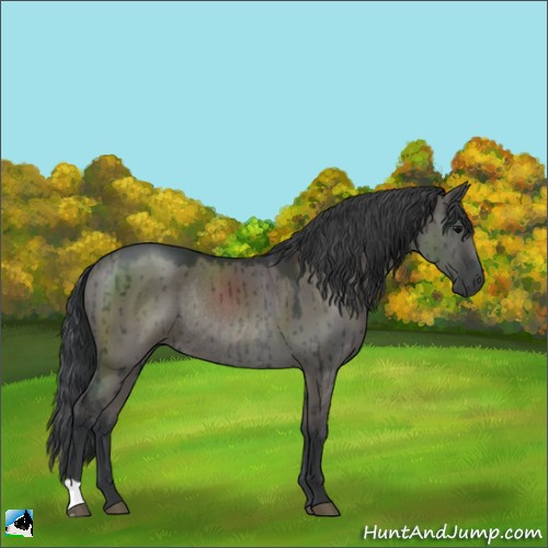 Horse Color:Grullo Mushroom Rabicano Brindle 