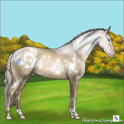 Horse Color:White Spotted Chocolate Palomino Pearl 