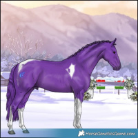 Horse Color:Watercolor Black Tobiano 