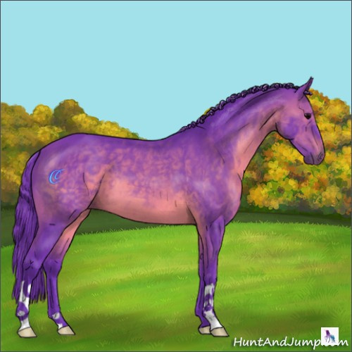 Horse Color:Watercolor Black 