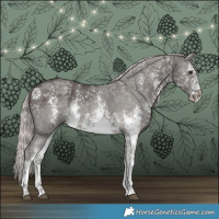 Horse Color:Platinum White Spotted Chocolate Palomino Sabino 