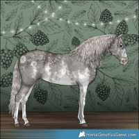 Horse Color:Platinum White Spotted Chocolate Palomino Sabino