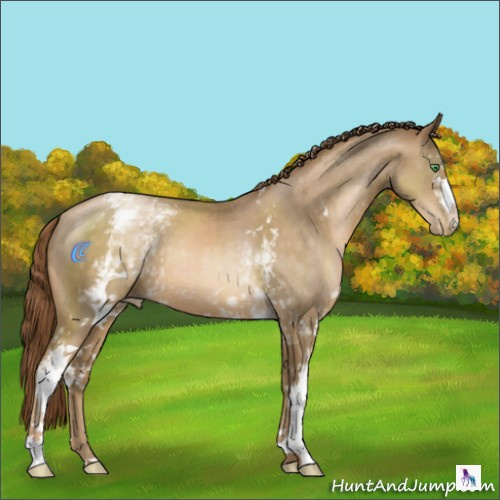 Horse Color:White Spotted Smoky Black Pearl 