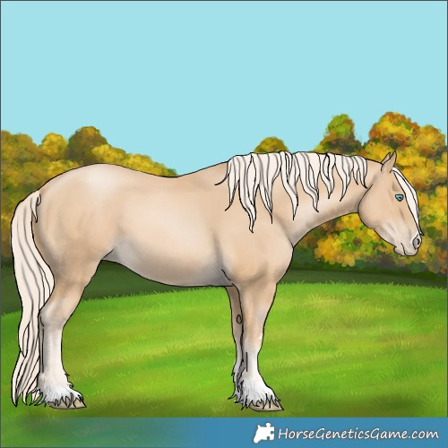 Horse Color:Palomino Pearl 