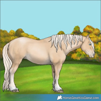 Horse Color:Palomino Pearl 