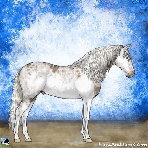 Horse Color:Liver Red Dun Ice Mushroom Splash Frame 