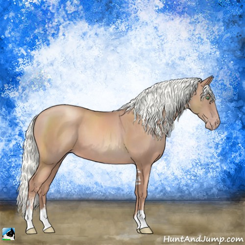 Horse Color:Gold Champagne Mushroom Sabino 