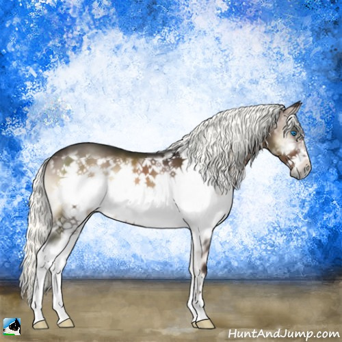 Horse Color:Liver Red Onyx Mushroom Splash Frame 