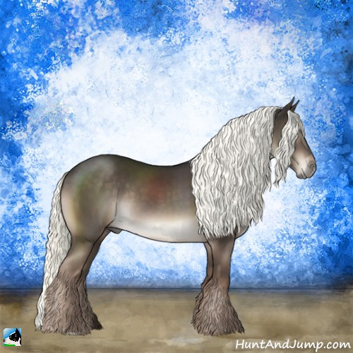 Horse Color:Liver Chestnut Mushroom Rabicano 