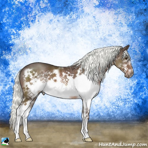 Horse Color:Liver Chestnut Mushroom Splash Frame 