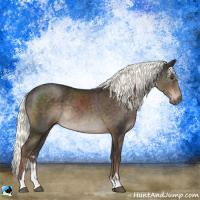 Horse Color:Liver Chestnut Mushroom Sabino Rabicano 