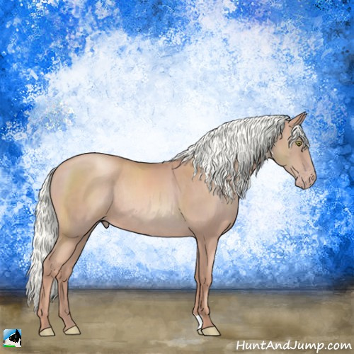 Horse Color:Gold Champagne Mushroom Rabicano 