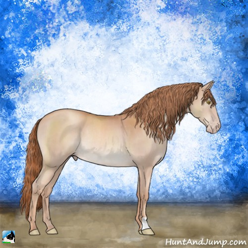 Horse Color:Gold Champagne Rabicano 