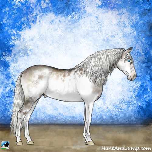 Horse Color:Liver Red Onyx Mushroom Splash Frame Rabicano 