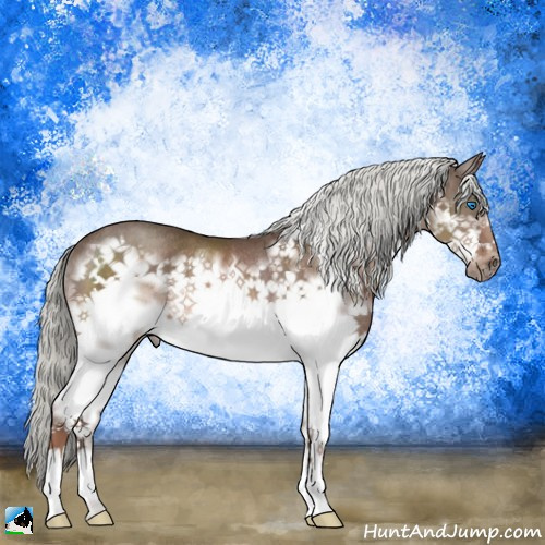 Horse Color:Liver Chestnut Mushroom Splash Frame Rabicano 