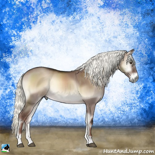 Horse Color:Liver Red Dun Onyx Mushroom Rabicano 