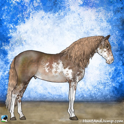 Horse Color:Liver Chestnut Splash Rabicano 