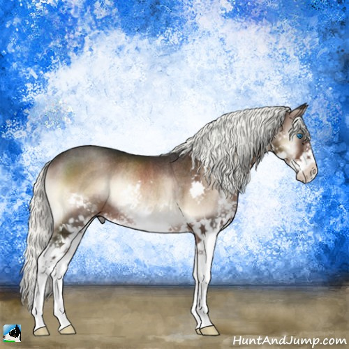 Horse Color:Liver Red Onyx Mushroom Splash Rabicano 