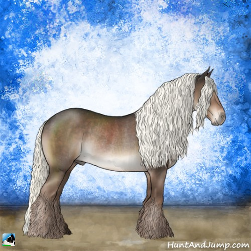Horse Color:Liver Chestnut Mushroom Rabicano 
