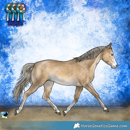 Horse Color:Chocolate Palomino Dun Mushroom Sabino Rabicano 