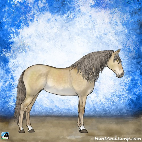 Horse Color:Chocolate Palomino Dun Mushroom Sabino Rabicano 