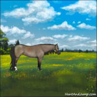 Horse Color:Liver Red Dun Sabino 