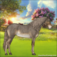 Horse Color:Chocolate Palomino Roan Sabino 